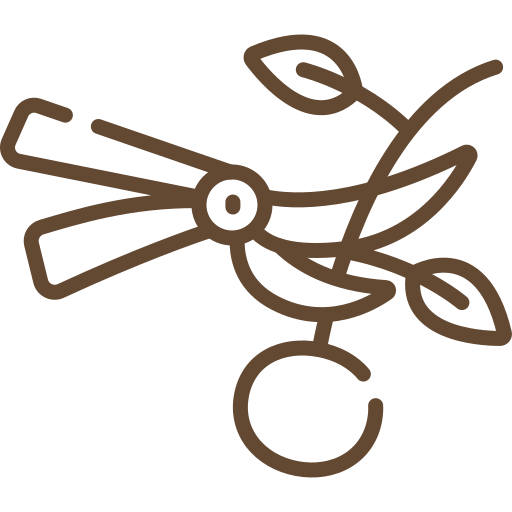 Colheita